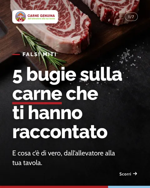 Prima scheda del carosello fatto con Iride: «5 bugie sulla carne che ti hanno raccontato», col logo vero di Carne Genuina